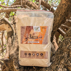 Desi Sattu